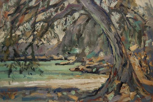 Olijfboom aan het strand