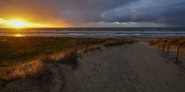 Sun, sea and sand on the Dutch coast by Dirk van Egmond