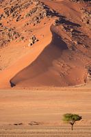 Sand dune in the Sossusvlei, Namibia