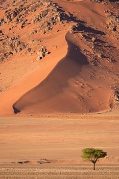 Sanddüne in Sossusvlei, Namibia