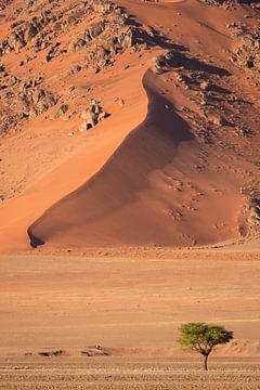 Zandduin in de Sossusvlei, Namibië van Gunter Nuyts
