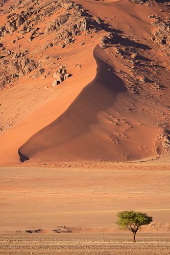 Sanddüne in Sossusvlei, Namibia