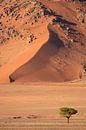 Zandduin in de Sossusvlei, Namibië van Gunter Nuyts thumbnail