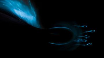 Magic Dolphins - Black Blue - Horizontal by Pieter Parlevliet