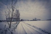Snowy landscape - Leerbeek
