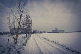 Snowy landscape - Leerbeek by vw-photography