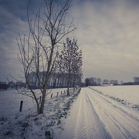 Paysage enneigé - Leerbeek sur vw-photography