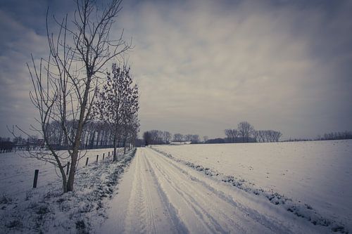 Sneeuwlandschap - Leerbeek