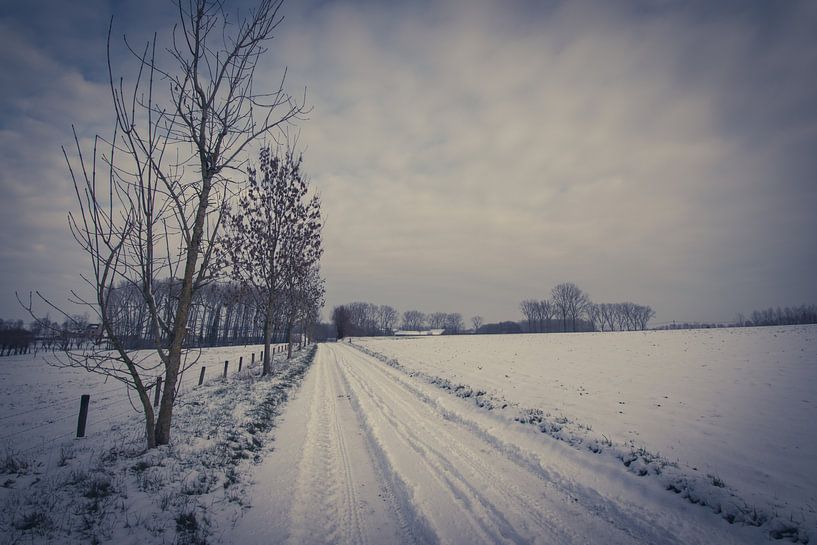 Sneeuwlandschap - Leerbeek van vw-photography