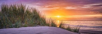 plage de dunes et mer du nord au coucher du soleil