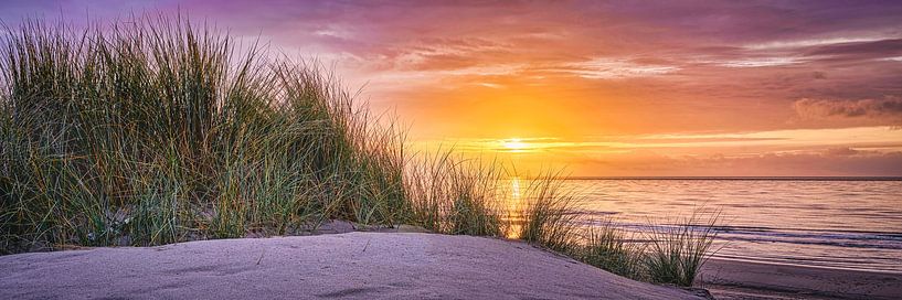 plage de dunes et mer du nord au coucher du soleil par eric van der eijk