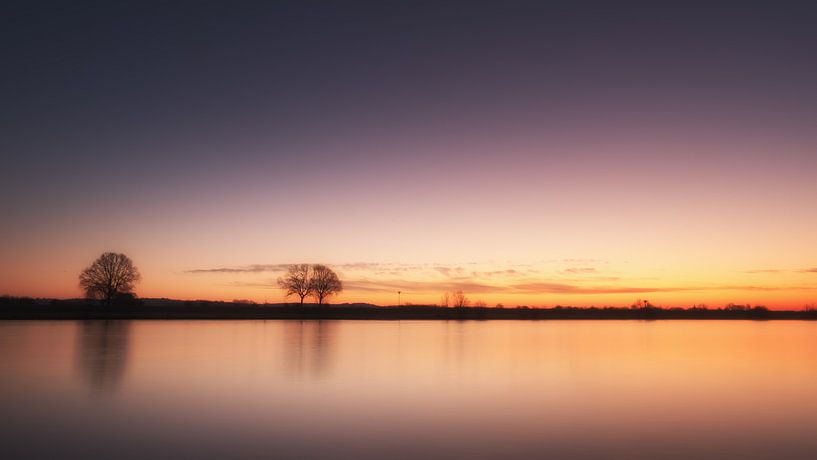That first light by Lex Schulte