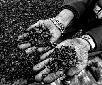 Dock worker shows coal by Bart Vos