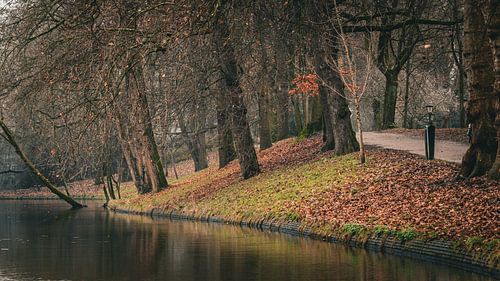 Utrechtse Singel in Herfstkleuren