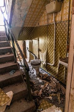 Die Toilette im Treppenhaus von Franziska Pfeiffer