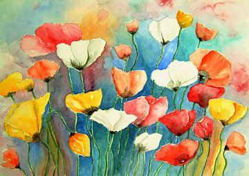 coquelicots colores pavot chou-fleur aquarelle sur Siegfried Dahlhaus