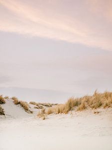 Ameland van Raisa Zwart