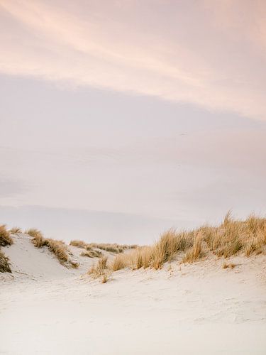 Ameland