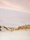 Die Dünen von Ameland | Bunte pastellfarbene Strandfotografie von Raisa Zwart Miniaturansicht