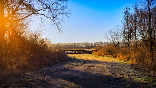 Sunrise in Biddinghuizen