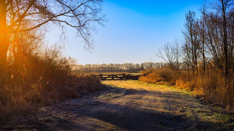 Sunrise in Biddinghuizen by René Holtslag
