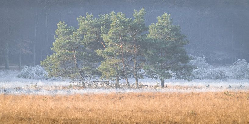 Frosty van John Goossens Photography