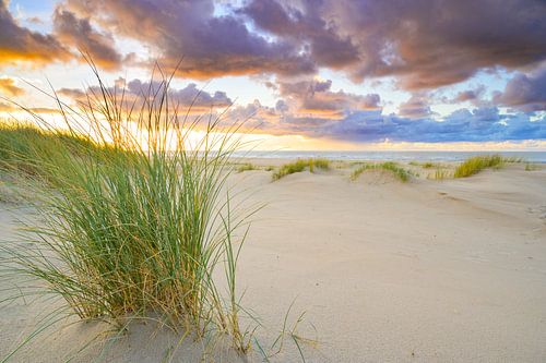 Zonsondergang op het strand van Texel met zandduinen op de voorgrond