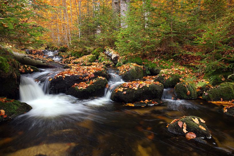 Herbstbach von Marko Sarcevic