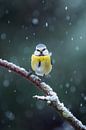 Cheerful in the freezing cold Blue Tit in the Snow by Ruben Van Dijk thumbnail