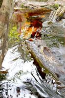 Black water in Suriname