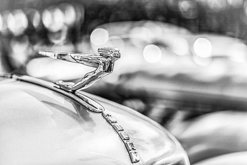 Auburn motorkap ornament in zwartwit