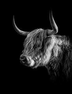 Schotse Hooglander in zwart wit. van Justin Sinner Pictures ( Fotograaf op Texel)