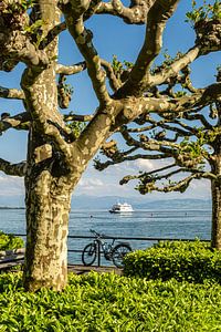 Uferpromenade Bodensee