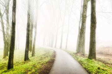 mist in Etten-Leur 2025 van Egon Zitter