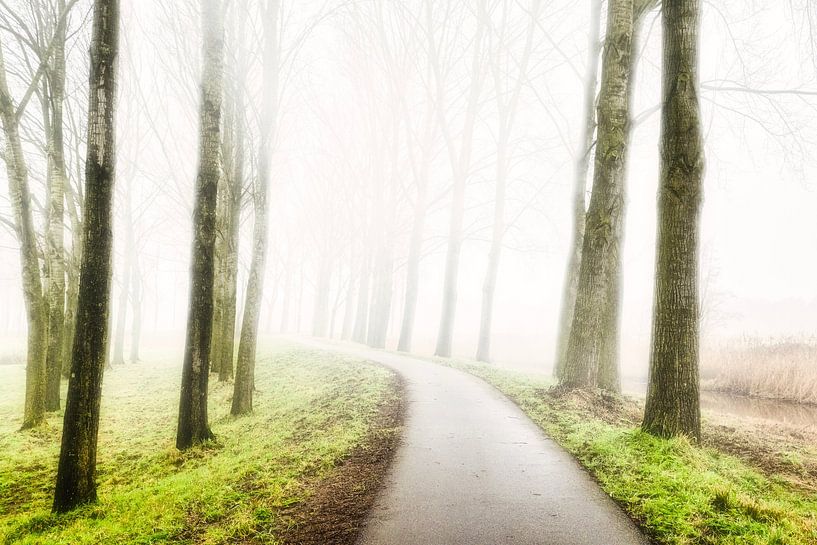 brouillard à Etten-Leur 2025 par Egon Zitter