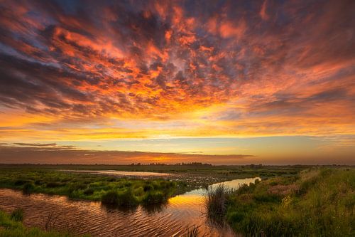 Zonsondergang in oranje