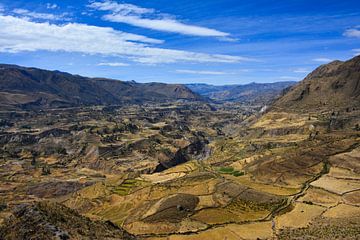 Vues sur le Canyon de Colca, Pérou sur Bianca Fortuin