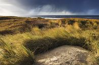 Dunes landscape von Martijn van Huffelen Miniaturansicht