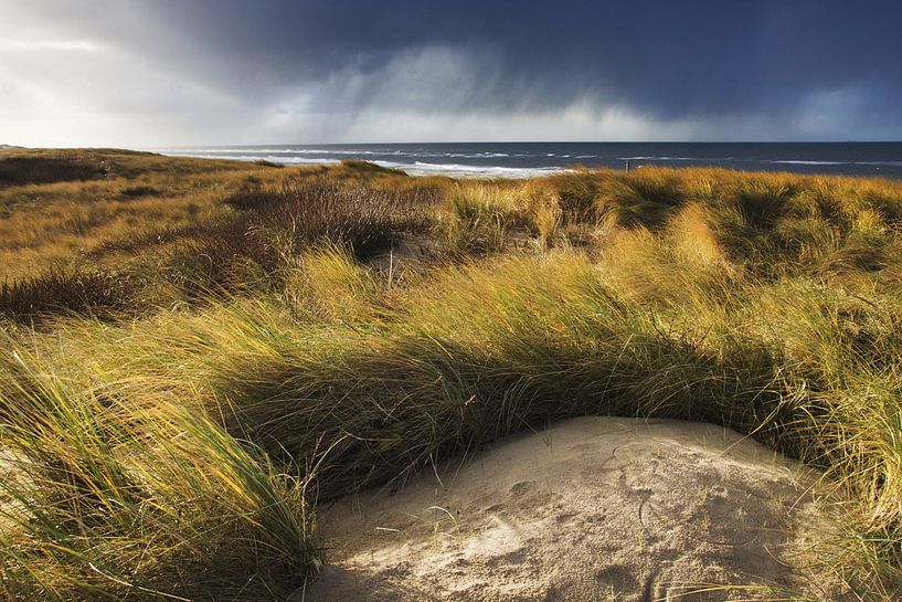Dunes landscape von Martijn van Huffelen