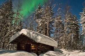 Nordlicht im Pasvik Nationalpark