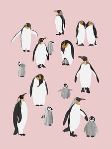 Famille de pingouins sur Goed Blauw