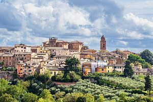 Blick über die Altstadt von Siena in Italien