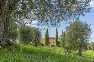 Podere Toscaberna in Seggiano Tuscany