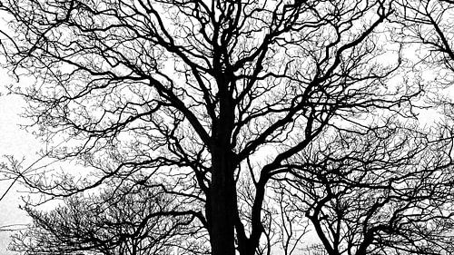 Equinoxe de printemps sur Tymn Lintell