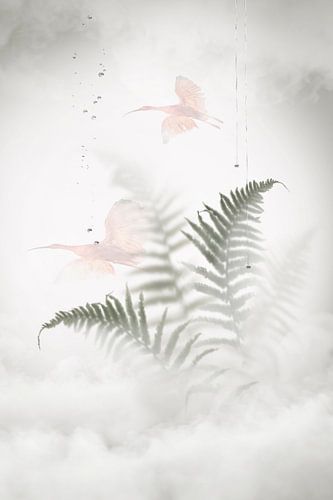 Behind the glass window. 4