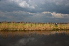 Fietser langs de Vlist by Maurice Kruk