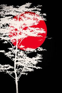 Blutmond - Blood moon