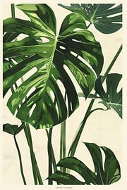 Monstera by Poster Art Shop
