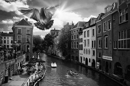 Zwart-Witfoto van Utrechtse Gracht met Vliegende Duif - Tijdloze Stedelijke Sfeer