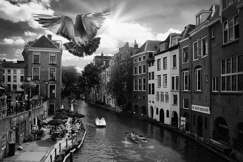 Photo en noir et blanc du canal d'Utrecht avec une colombe en vol - Atmosphère urbaine intemporelle par Elianne van Turennout